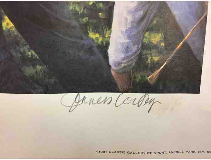 The Paddocks by Jenness Cortez