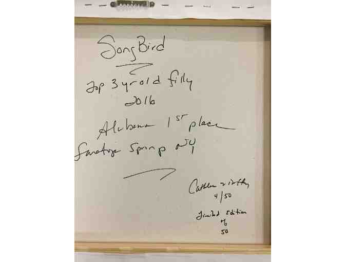 Framed Photo of Songbird