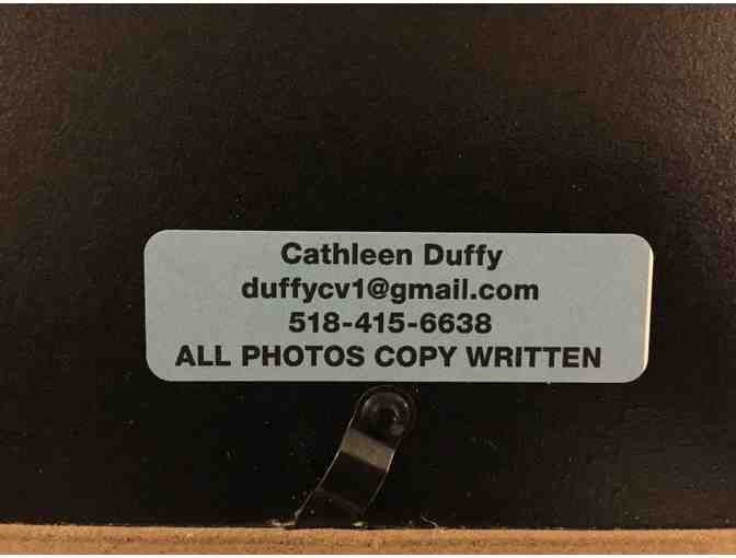 American Pharoah Framed Photo Running Travers Stakes