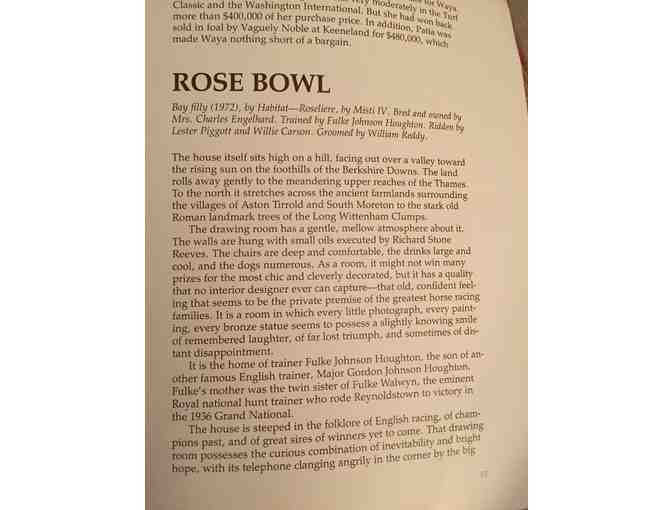Richard Stone Reeves print 'Rose Bowl'