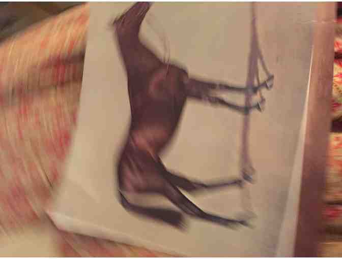 Richard Stones Reeves print 'Il De Bourbon'