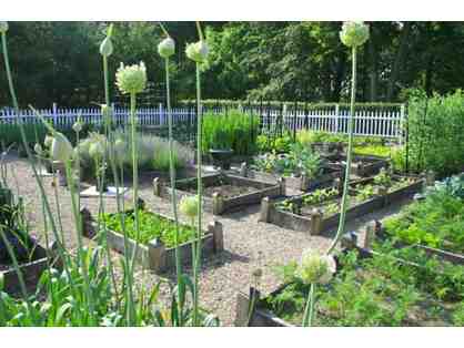 Organic Raised Bed Garden