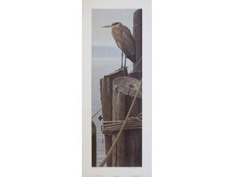 Biding Time - Great Blue Heron Signed Print by John Pitcher