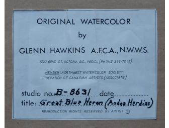 Great Blue Heron Original Watercolor Framed