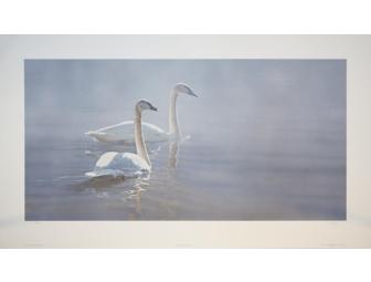 Light and Mist Print by Terry Isaac