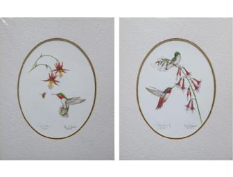 Hummingbird Set of 2 Matted Signed Prints by James P Townsend