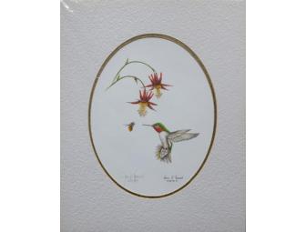 Hummingbird Set of 2 Matted Signed Prints by James P Townsend