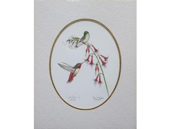 Hummingbird Set of 2 Matted Signed Prints by James P Townsend