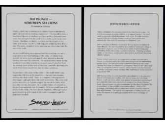 The Plunge - Norther Sea Lions Print by John Seere-Lester