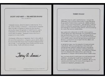 Light and Mist - Trumpeter Swans Print by Terry Isaac