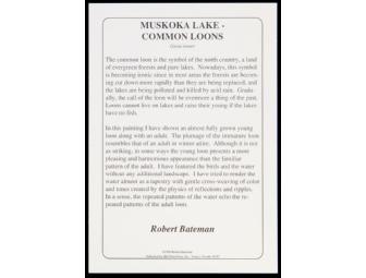Muskoka Lake  - Common Loons Print by Robert Bateman