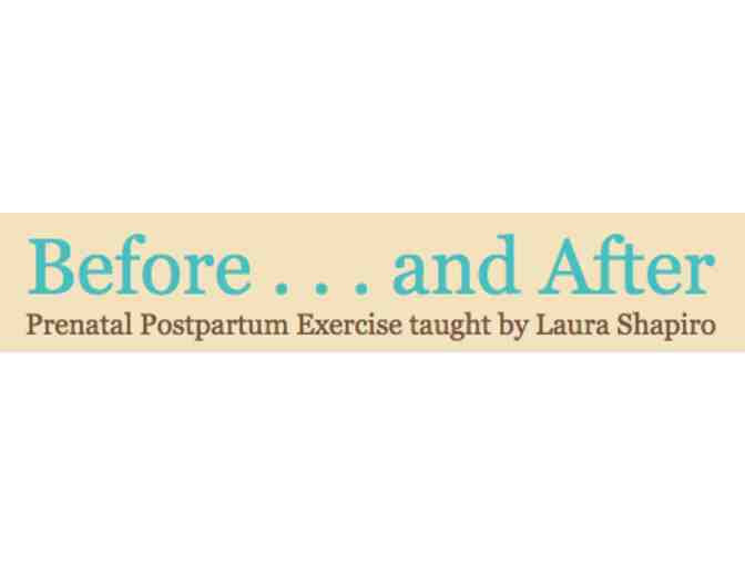 Prenatal/Postpartum Conditioning with Laura Shapiro