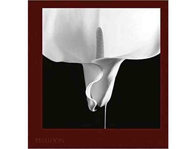 Mapplethorpe Flora: The Complete Flowers