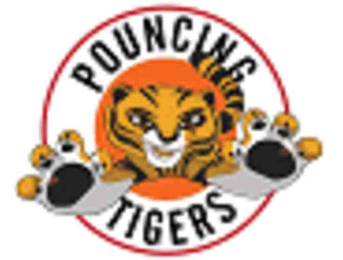 Pouncing Tiger Martial Arts - One Month of Classes and Free Uniform