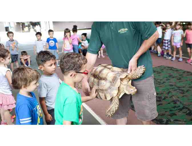 Deerkill Day Camp - 2018 Weekend Family Swim Club Membership