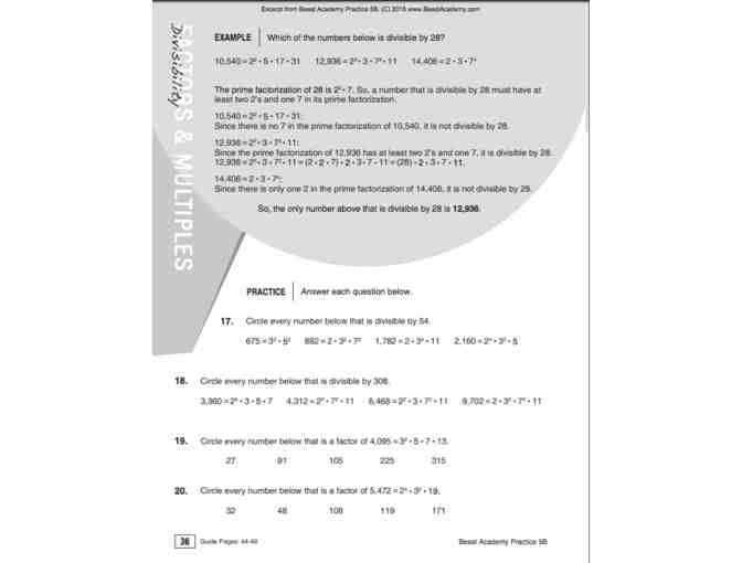 Beast Academy 5A, 5B, 5C, and 5D Guides and Practice Books