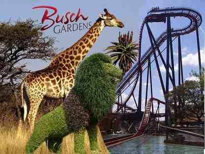 Busch Gardens Tampa!!