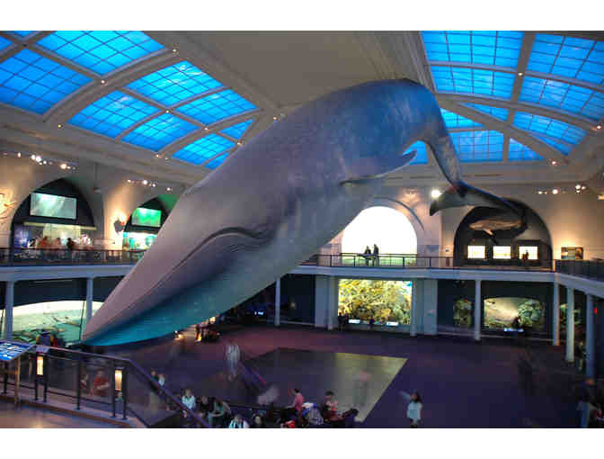 American Museum of Natural History - 4 Tickets