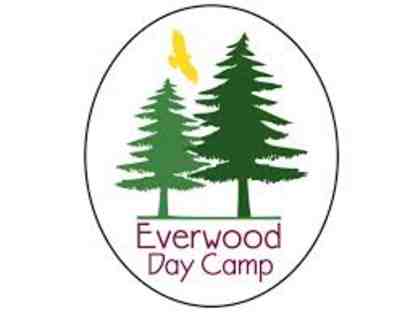 Everwood Day Camp - $325 Gift Certificate