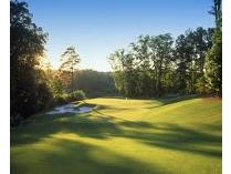 4 Rounds of Golf at White Columns