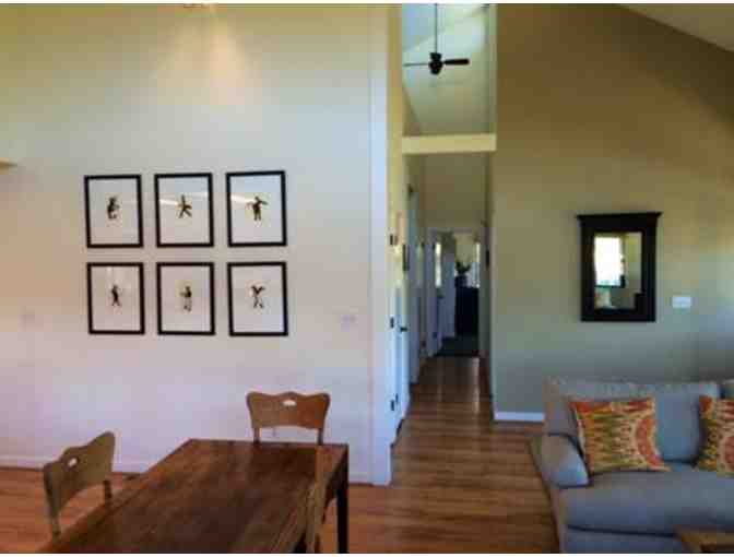 The Best of the Bay Area