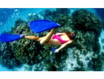 Snorkeling Catalina--1 Hour Guided Snorkel Tour for Two