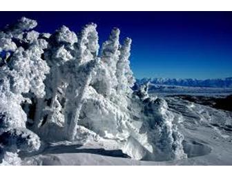 Two Lift Passes to Mammoth Mountain