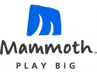 Two Lift Passes to Mammoth Mountain