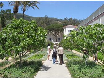Tea by the Sea at The Getty Villa Plus Getty Museum Store Gift Card