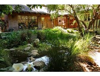 Venice Garden and Home Tour