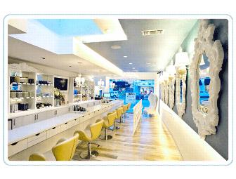 Elaborate Blow Dry with Mini Scalp Treatment