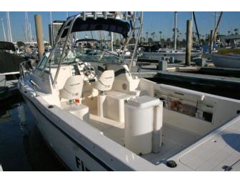 Half-Day Fishing Excursion on 26-Foot Boat