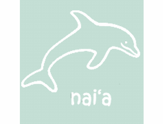 Turquoise Tee Shirt (Size 4T) from Keiki Kruisers