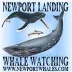 Newport Landing Whale Watching