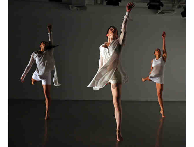 Gibney Dance's Double Plus Series