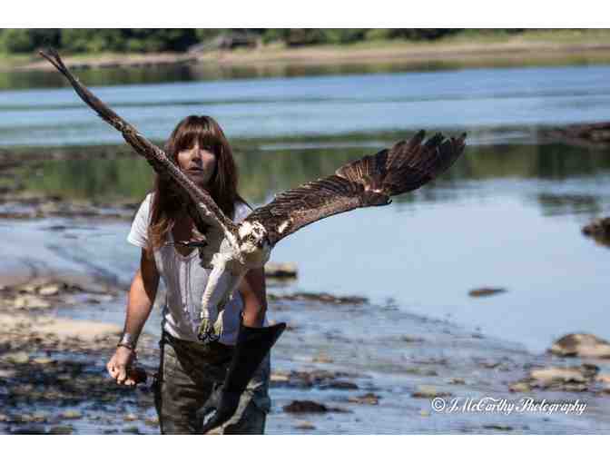 Live Bird of Prey Demonstration with Jane Kelly