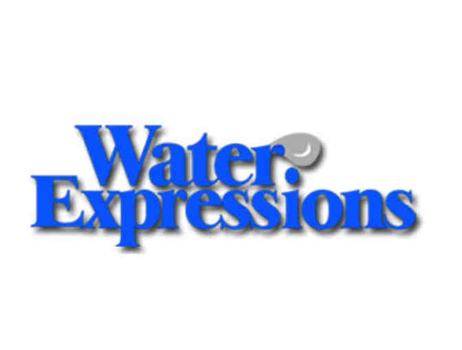 At Home Water Test Kit from Water Expressions - TWO OPPORTUNITIES TO BID!