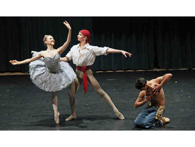 Private Ballet Class with an ABT Ballerina