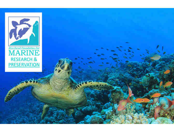 Riverhead Marine Research Foundation Exclusive Tour for up to 20!