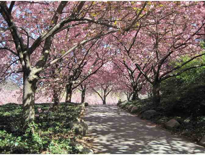 Brooklyn Botanic Garden- 4 Guest Passes