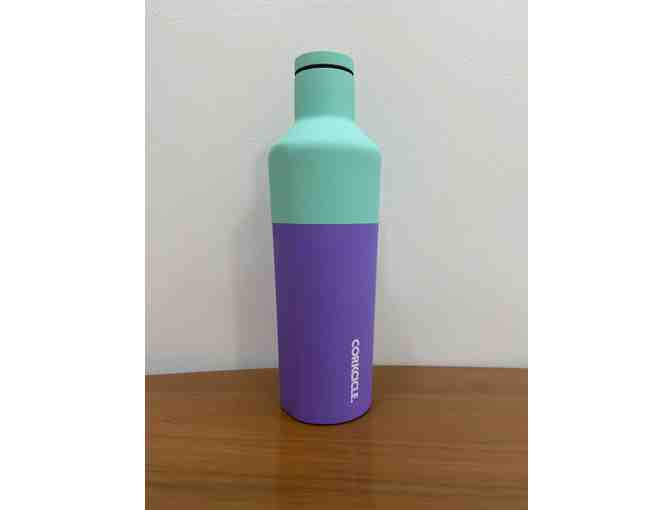 Fun in the Sun Beach Day Set