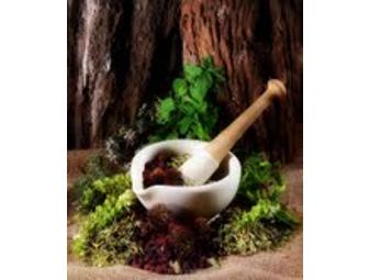 90 minute Herbal Spa Therapy