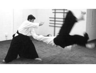 Aikido Instruction - Three (3) Months
