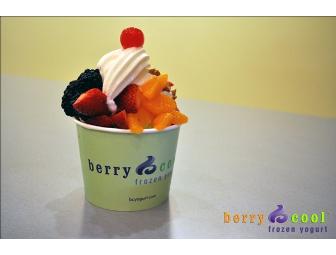 Berry Cool $10 Gift Card - 1431 & Parmer Location