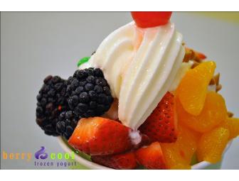 Berry Cool $10 Gift Card - 1431 & Parmer Location