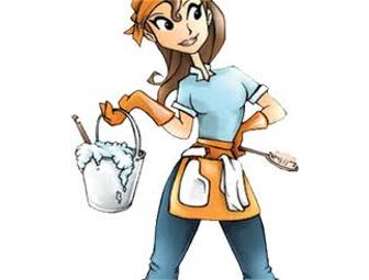Jersey Girls Professional Cleaning ($60)