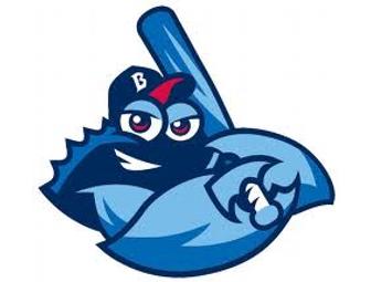 BlueClaws 4 Pack:  August 25, 2012 Fall Sports Ticket Extravaganza