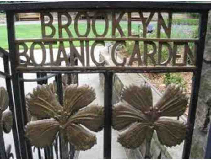 Stop & Smell The Roses at The Brooklyn Botanic Garden