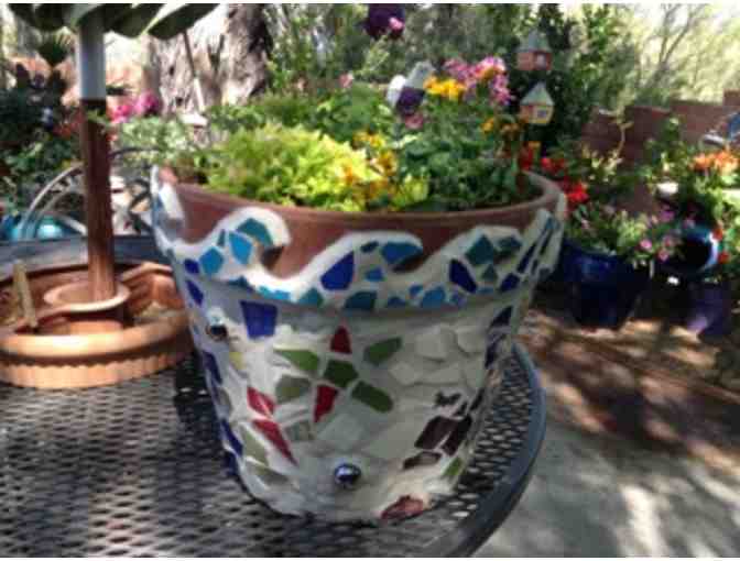 Set of Three Mosaic Pots w/ Plants | Grade 8