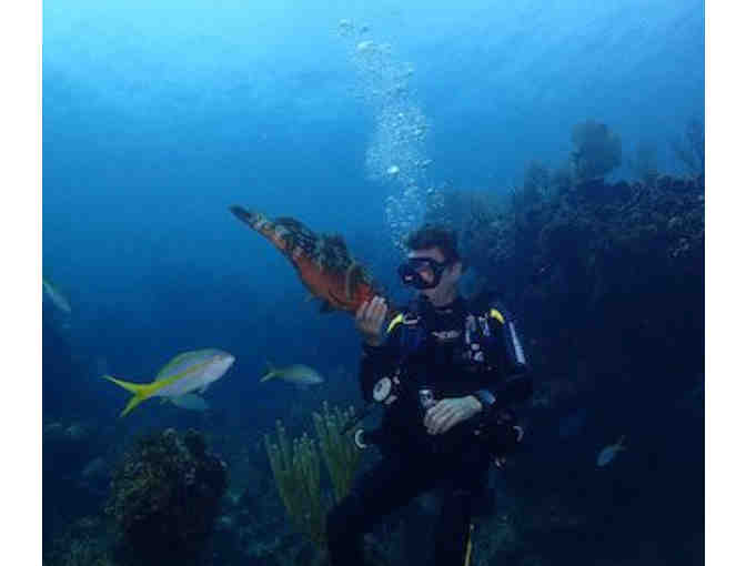 Scuba Diving in Abaco, The Bahamas - Photo 4